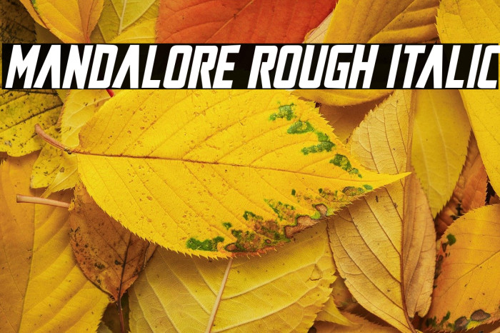 Mandalore Rough Italic Example 3