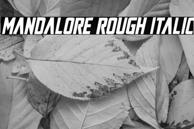 Mandalore Rough Italic Font examples