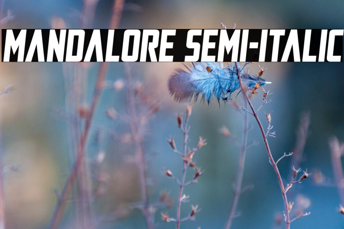 Mandalore Semi-Italic Example 1