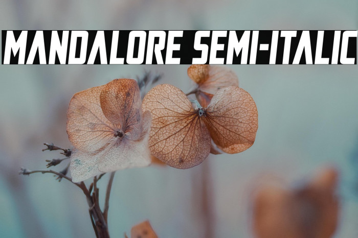 Mandalore Semi-Italic Example 3