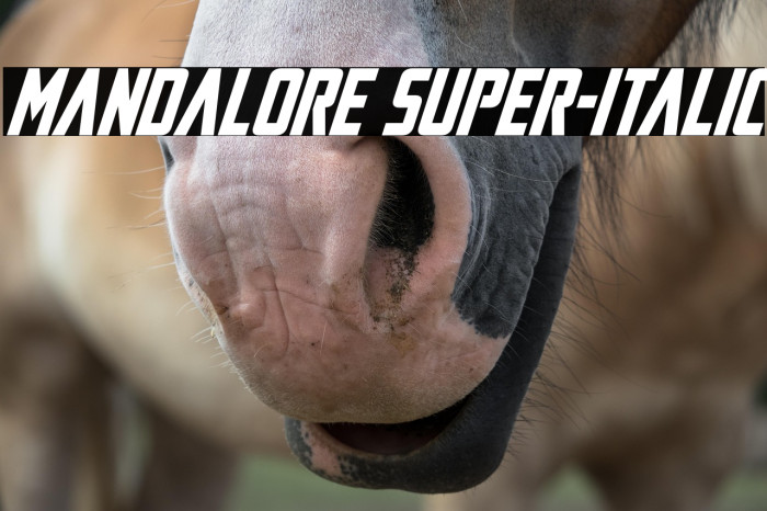 Mandalore Super-Italic Example 2
