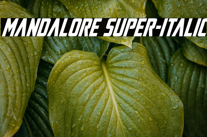 Mandalore Super-Italic Example 3