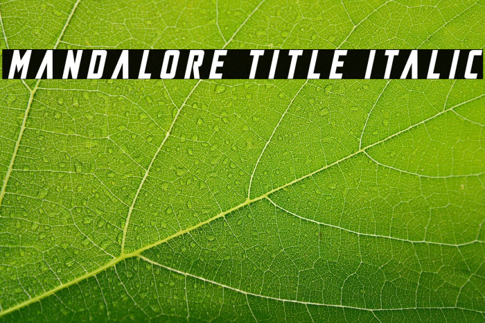Mandalore Title Italic Example 2