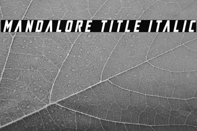 Mandalore Title Italic Font examples