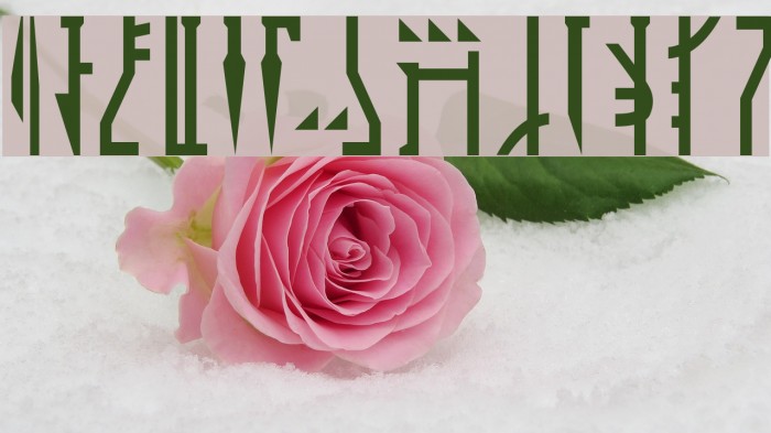 Mandalorian Example 2