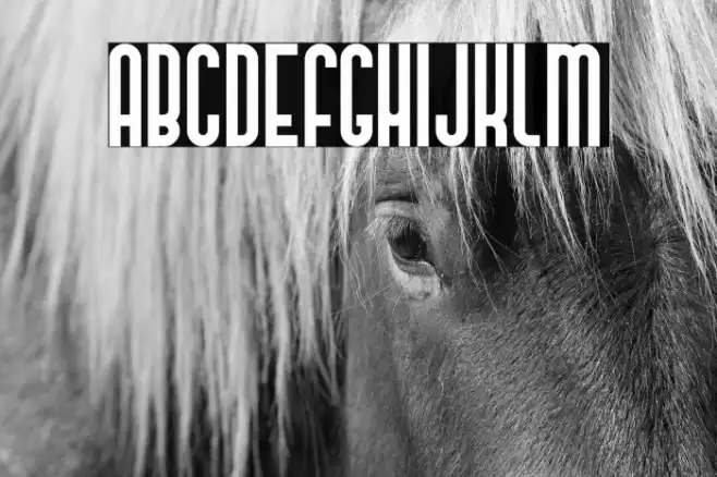 Mandan Font examples