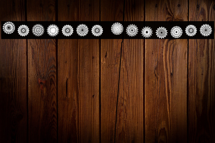 Mandara Regular Example 3