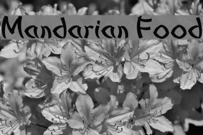 Mandarian Food Font examples