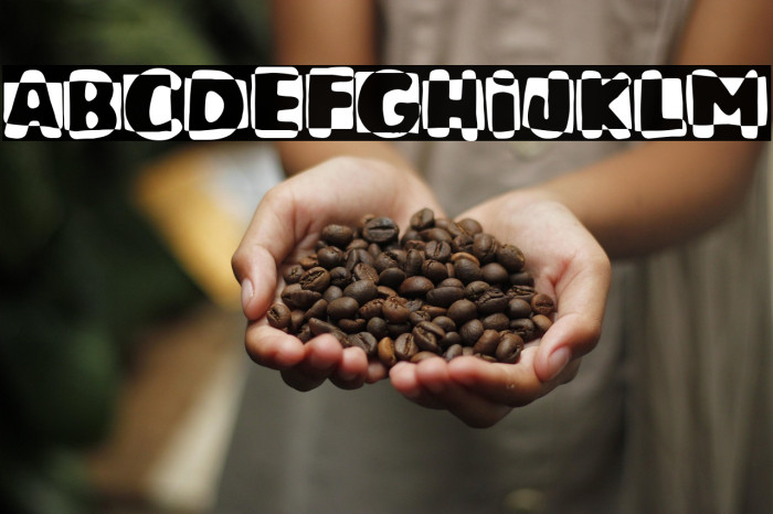 Mandarino Party Example 1