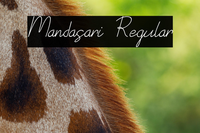 Mandasari Regular Example 1