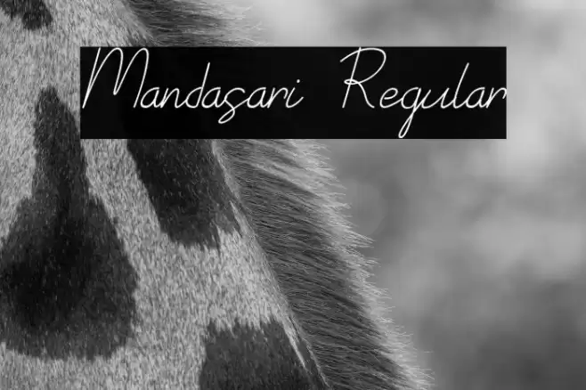 Mandasari Regular Font examples