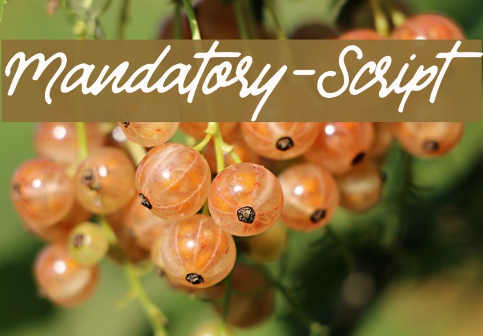 Mandatory-Script Font examples