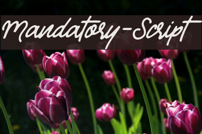 Mandatory-Script Font examples