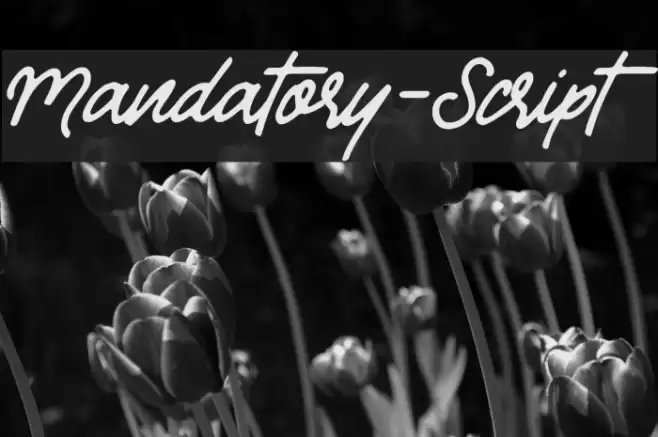 Mandatory-Script Font examples