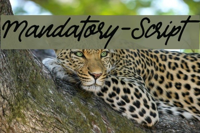 Mandatory-Script Font examples