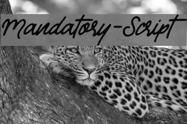 Mandatory-Script Font examples