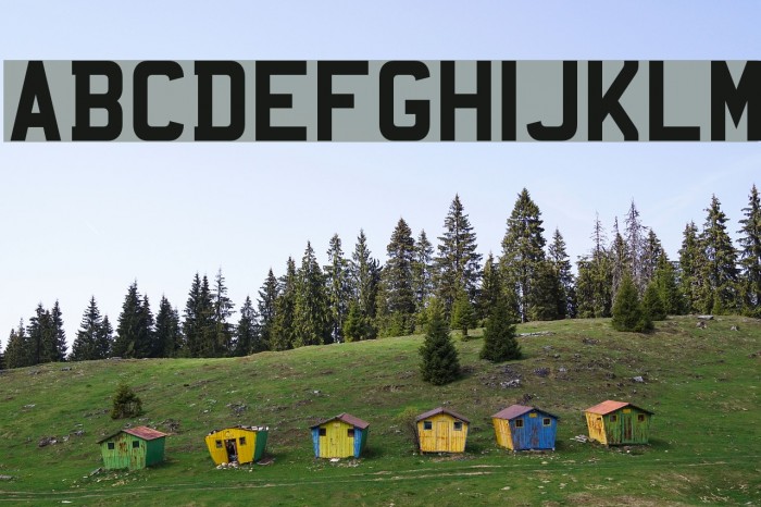Mandatory Font examples
