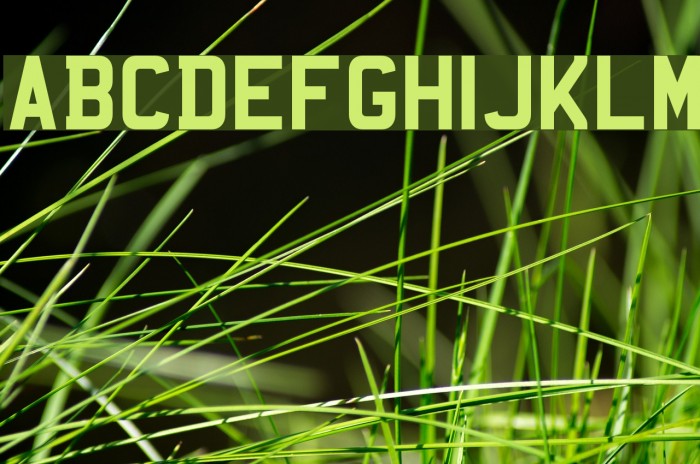 Mandatory Font examples