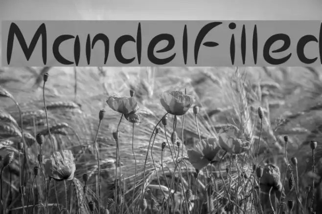 MandelFilled Example 2