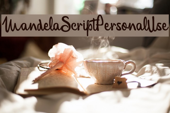 MandelaScriptPersonalUse Example 1