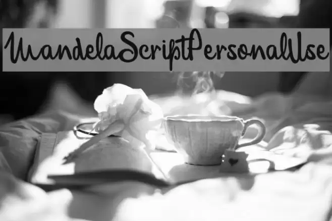 MandelaScriptPersonalUse Font examples