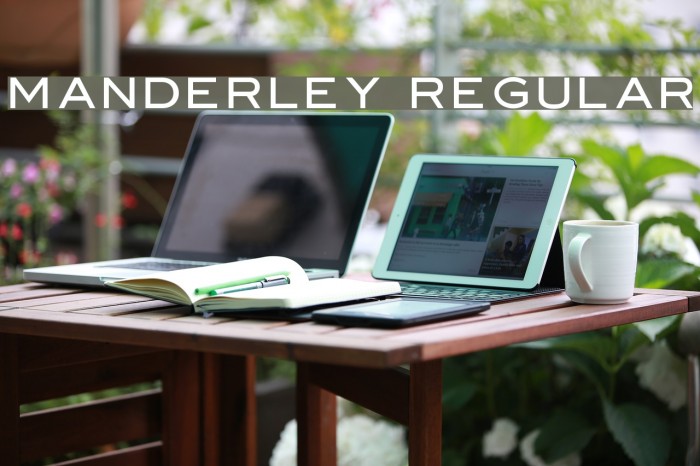 Manderley Regular Example 2