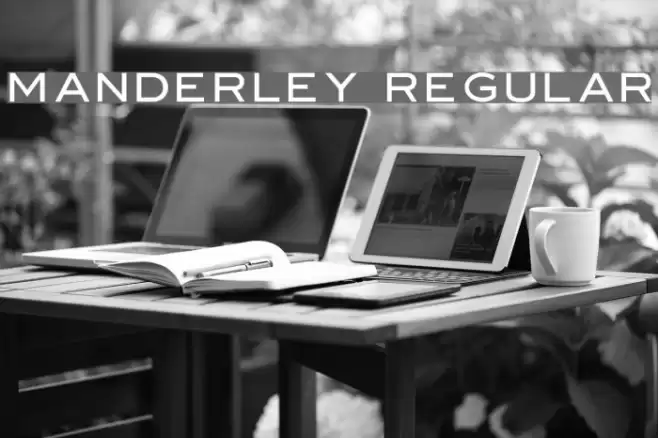 Manderley Regular Font examples