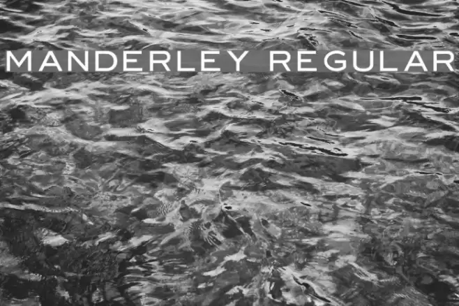 Manderley Regular Font examples