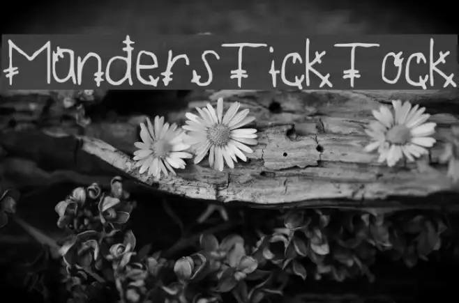 MandersTickTock Example 1