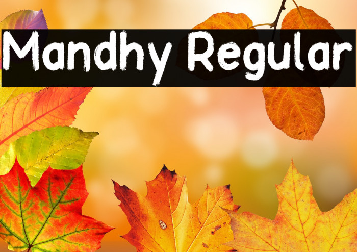 Mandhy Regular Example 3