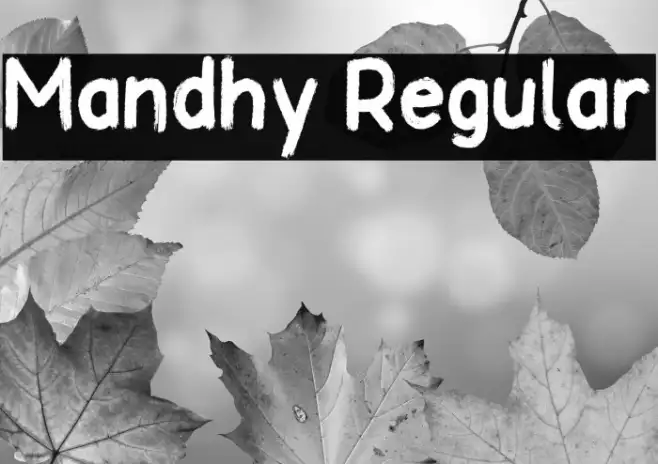 Mandhy Regular Example 3