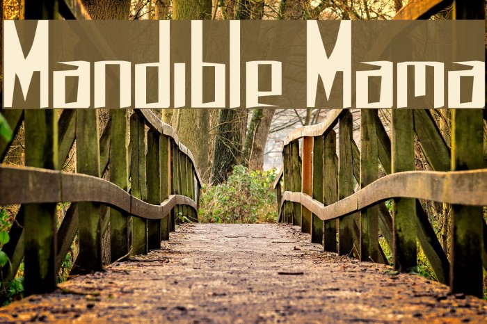Mandible Mama Font examples