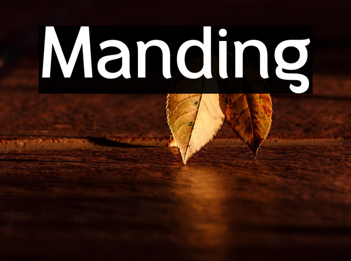 Manding Example 2