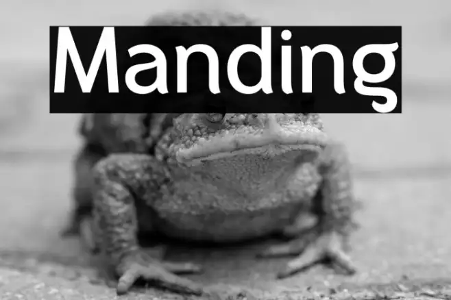 Manding Example 3
