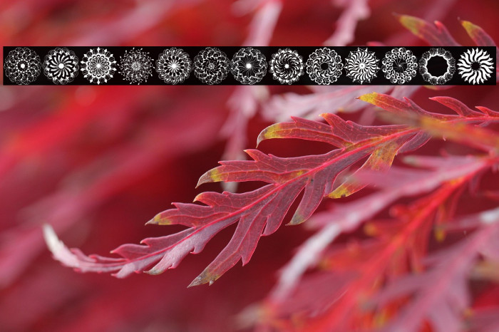 Mandings Demo Example 2