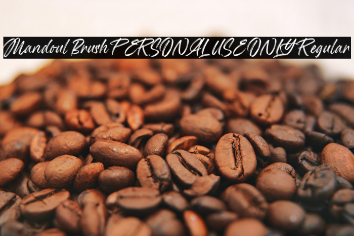 Mandoul Brush PERSONAL USE ONLY Regular Example 2