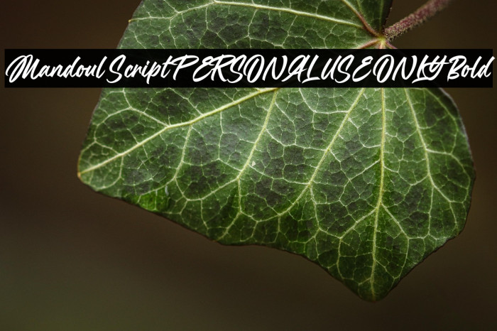 Mandoul Script PERSONAL USE ONLY Bold Example 2