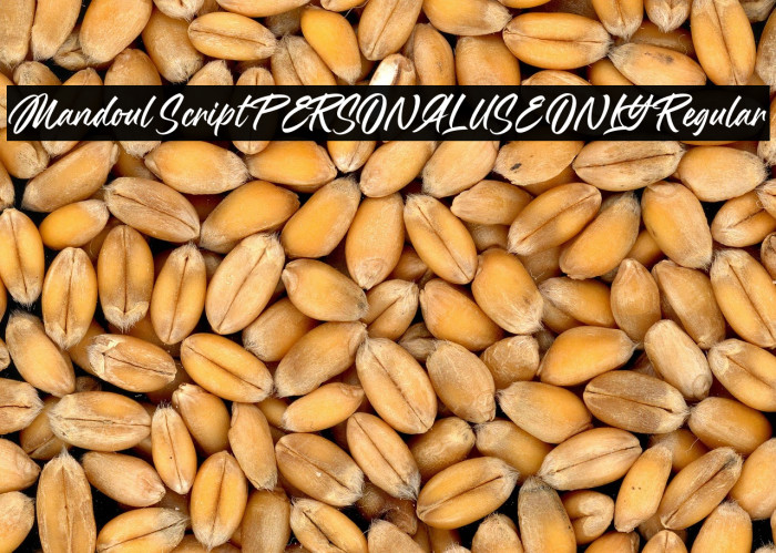 Mandoul Script PERSONAL USE ONLY Regular Example 3
