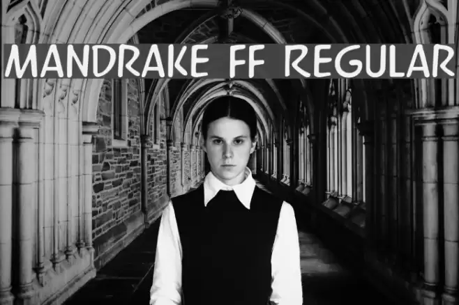 Mandrake FF Regular Font examples