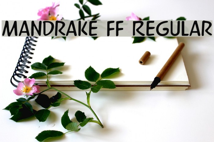Mandrake FF Regular Font examples