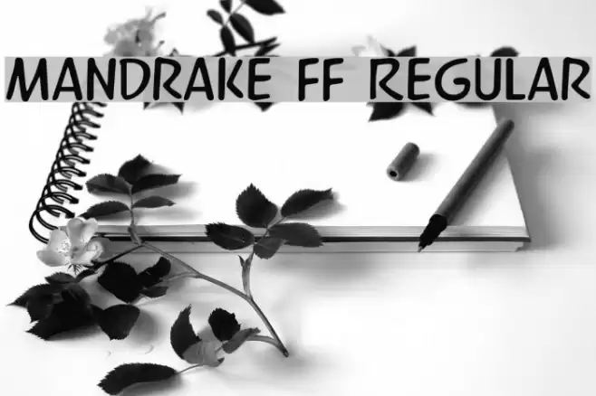 Mandrake FF Regular Font examples