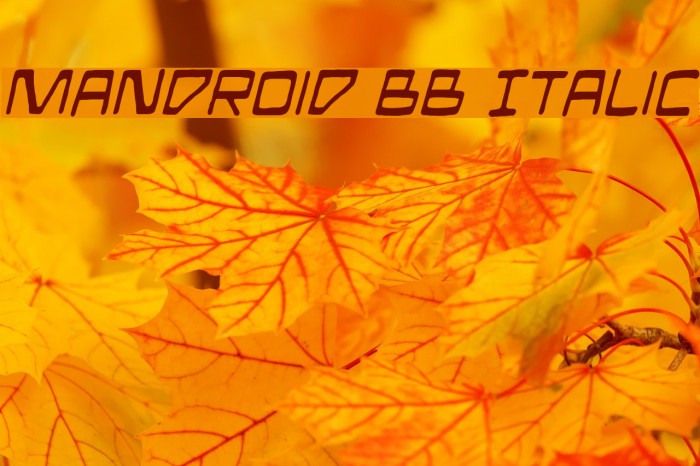 Mandroid BB Italic Font examples