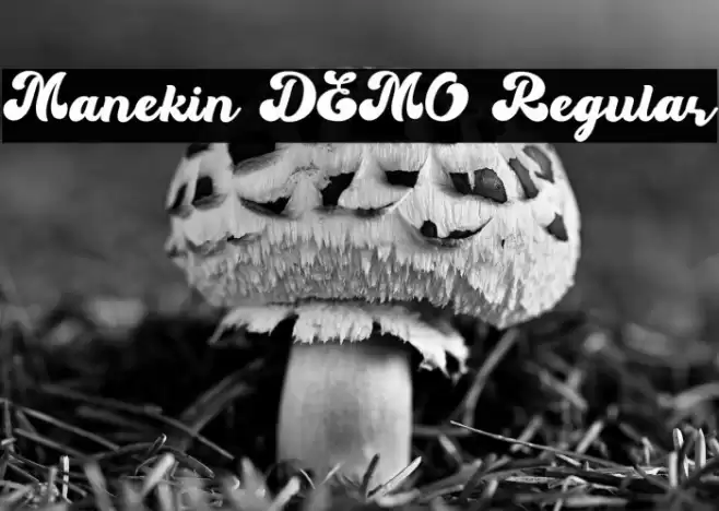 Manekin DEMO Regular Fuentes examples