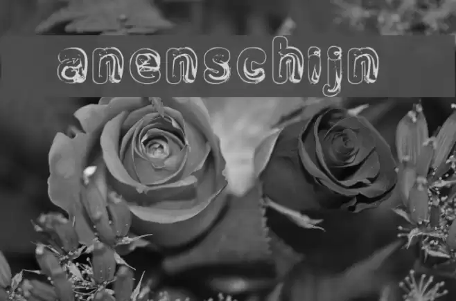 Manenschijn_02 Font examples