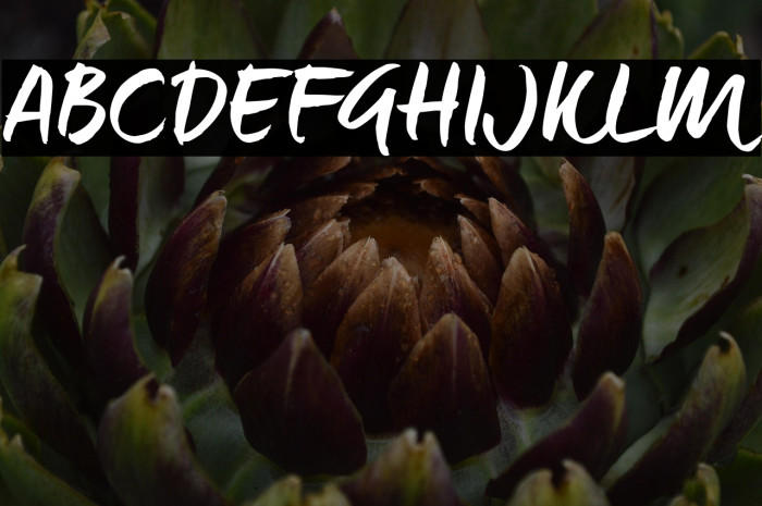 Maneo_TRIAL Example 3