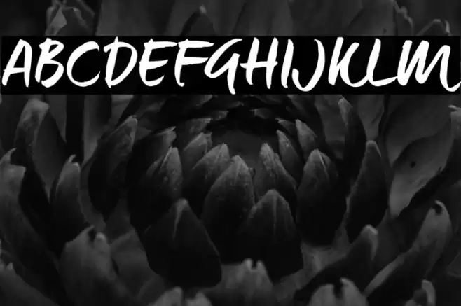 Maneo_TRIAL Font examples