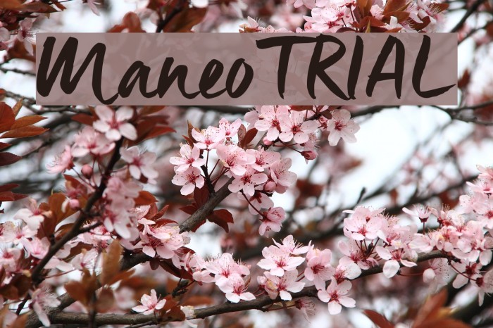 Maneo_TRIAL Font examples