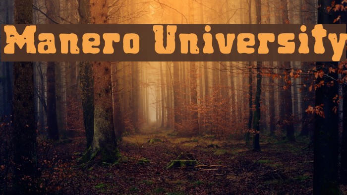 Manero University Example 1