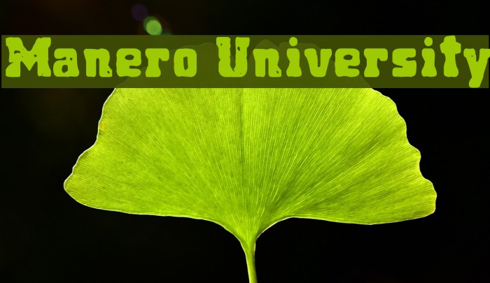 Manero University Example 2