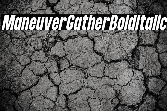 Maneuver Gather Bold Italic Example 1